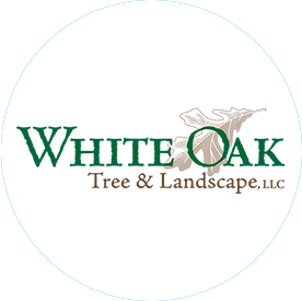- Jim Dean, <h6>White Oak Tree & Landscape, LLC, March 11, 2017</h6>